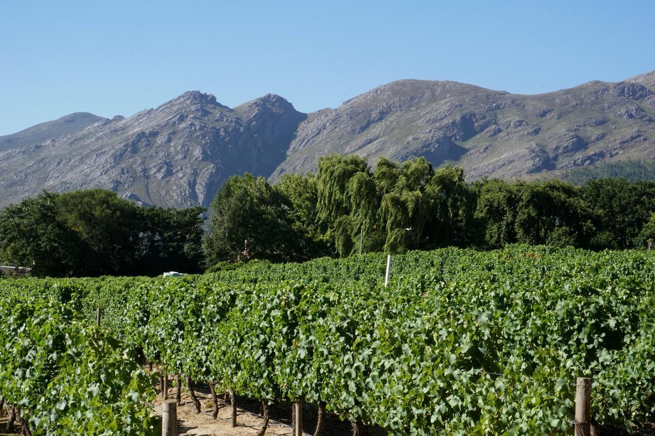 Willa 5 Pierre Jourdan Franschhoek Zewnętrze zdjęcie
