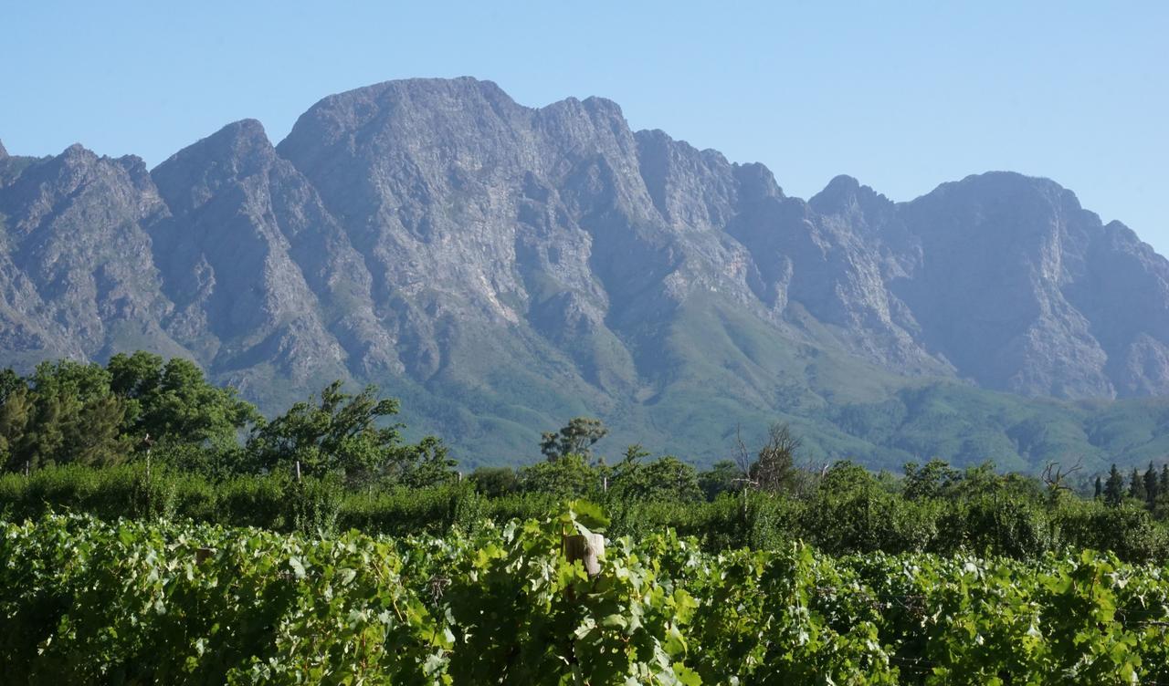 Willa 5 Pierre Jourdan Franschhoek Zewnętrze zdjęcie